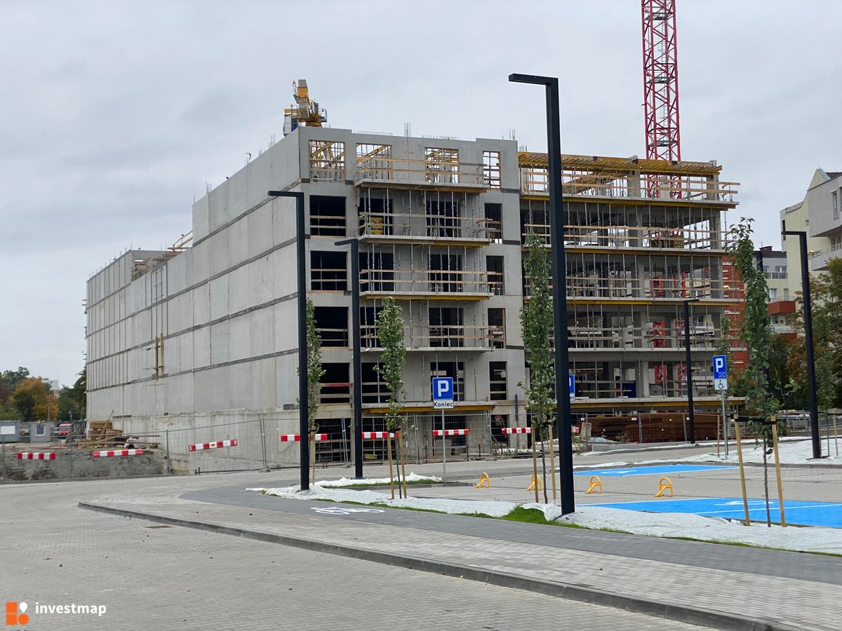 Zdjęcie Stalova fot. eszha95 