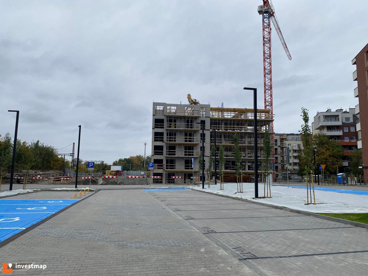 Zdjęcie Stalova fot. eszha95 