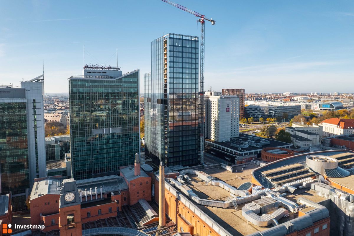 Zdjęcie AND2 (Andersia Silver) fot. Jakub Zazula 