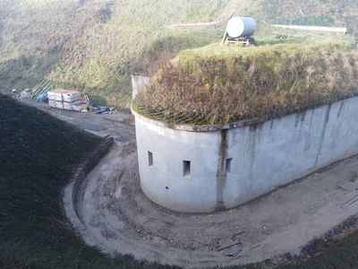 fot. Damian Daraż