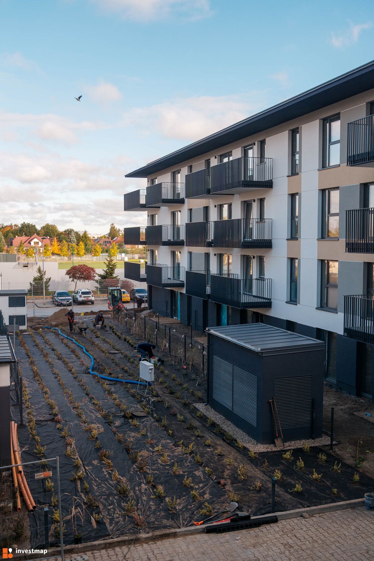 Zdjęcie Osiedle Hemara fot. PROFIT Development