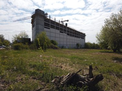 Damian Daraż