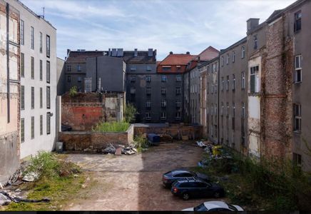 fot. Orzech