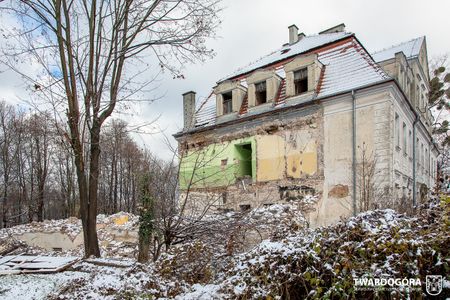 fot. Orzech