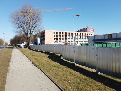 fot. Damian Daraż