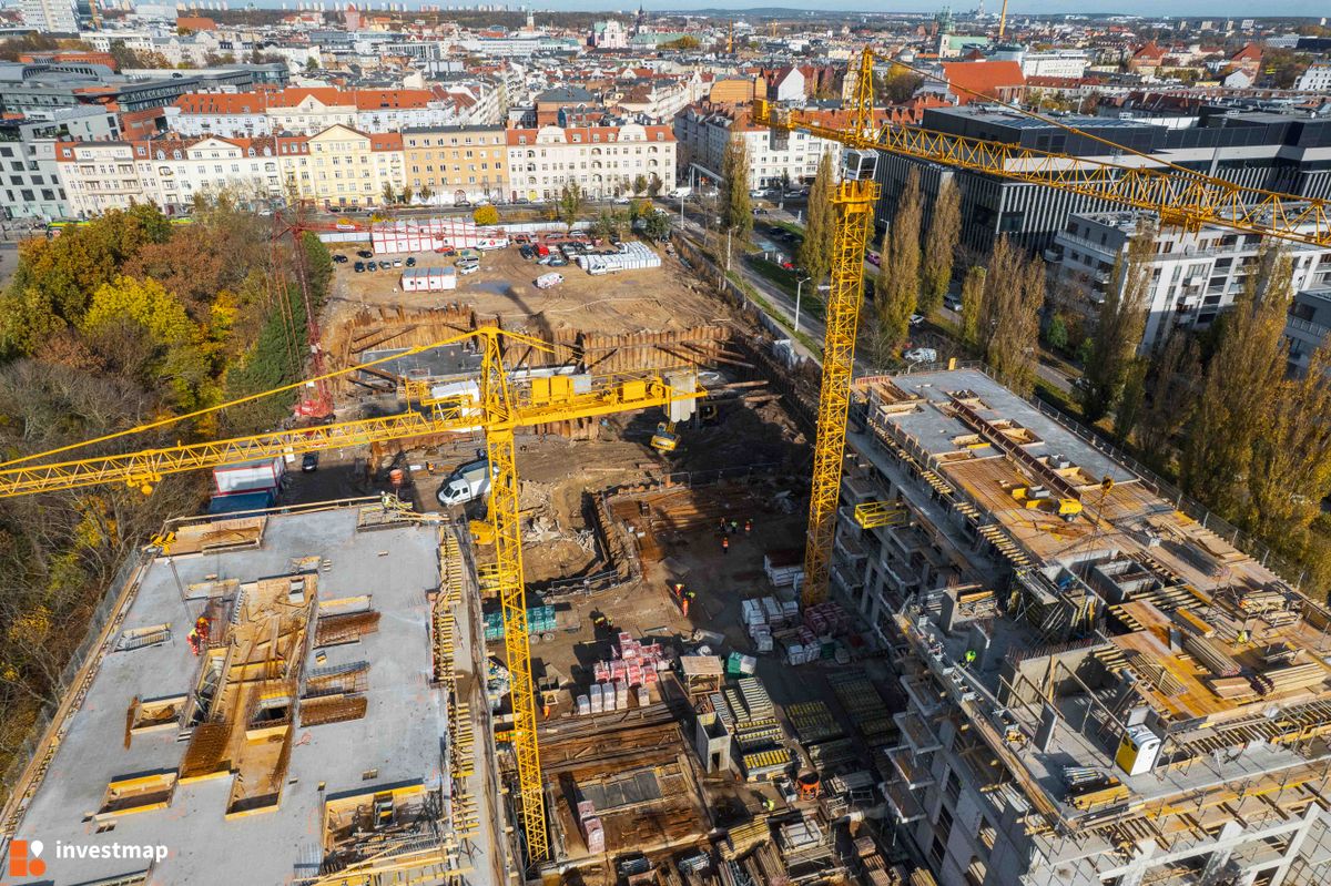 Zdjęcie Królowej Jadwigi 51 fot. Jakub Zazula 