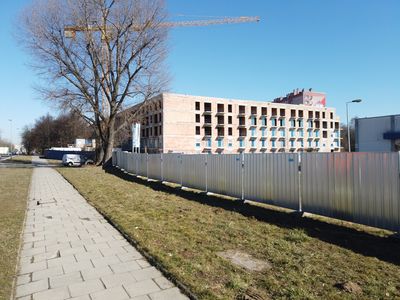 fot. Damian Daraż