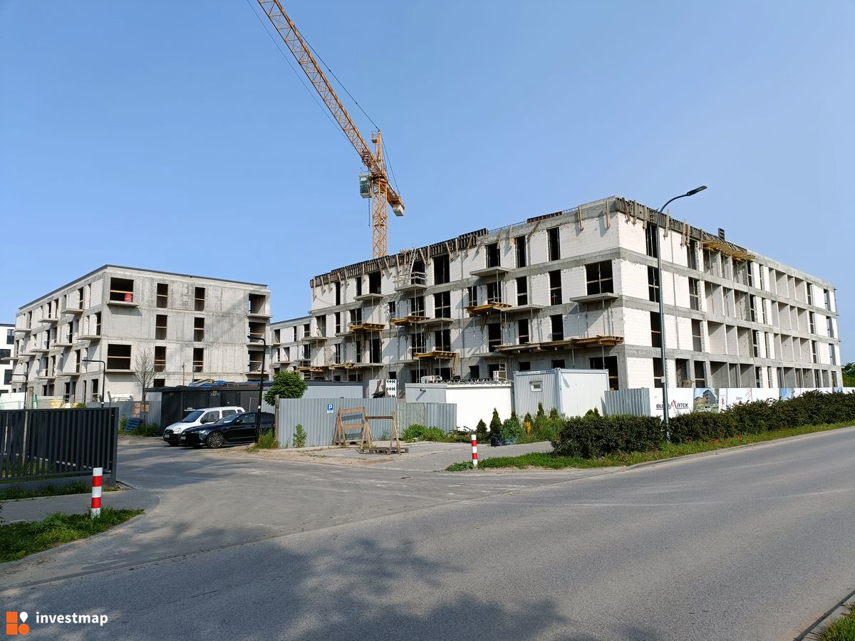 Zdjęcie Geometryczna fot. mickam 