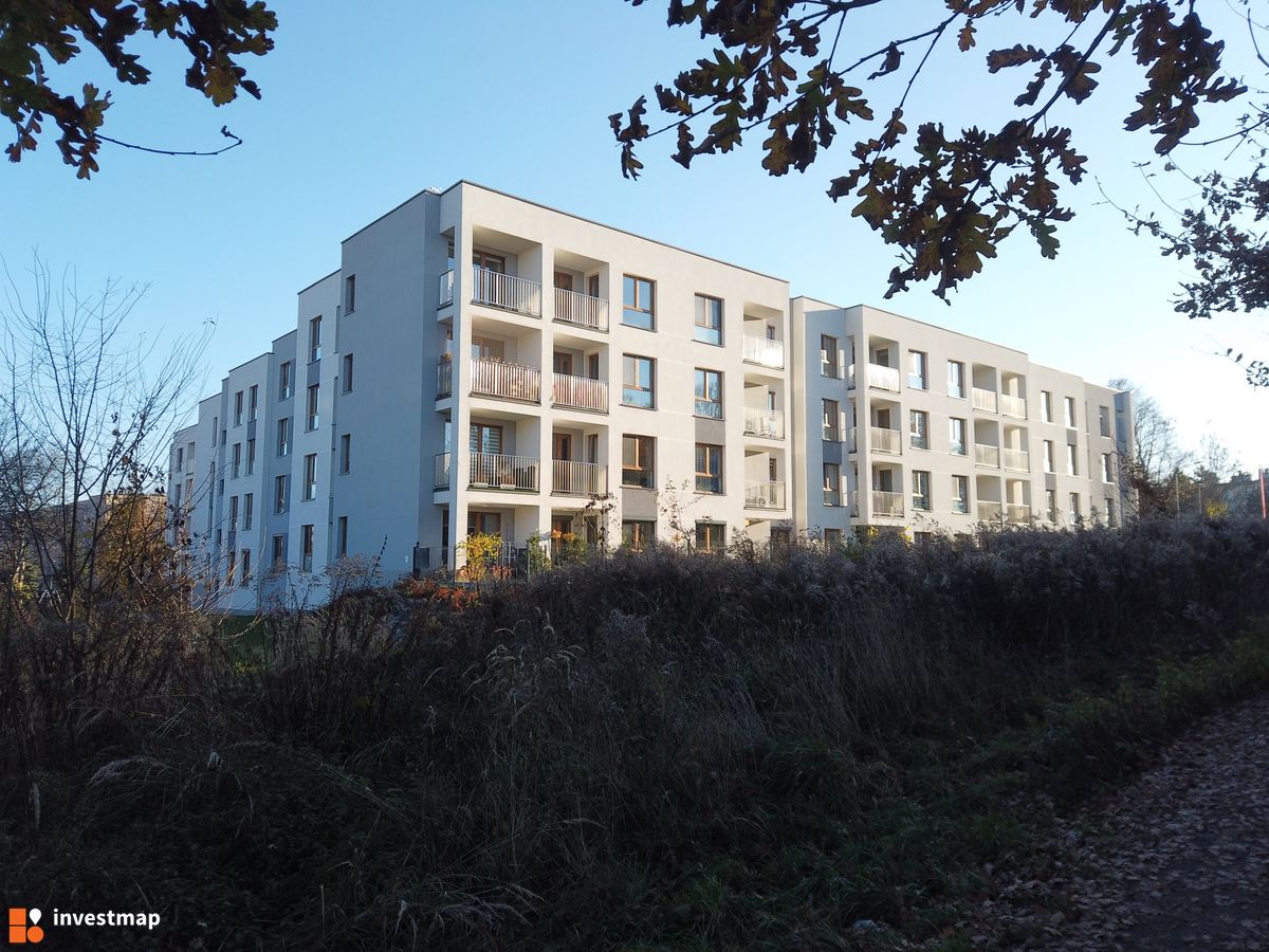 Zdjęcie Nowy Horyzont fot. Damian Daraż 