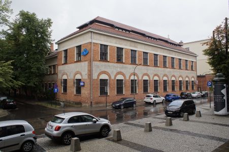 fot. Damian Daraż