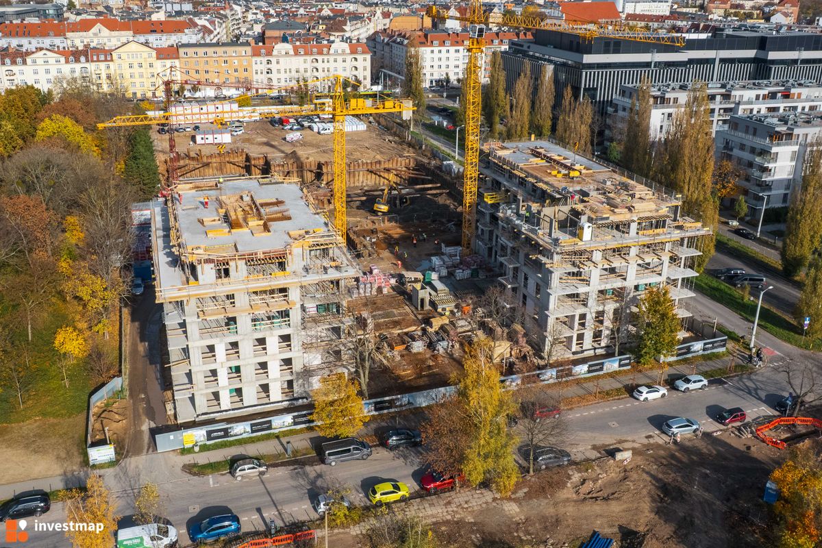 Zdjęcie Królowej Jadwigi 51 fot. Jakub Zazula 