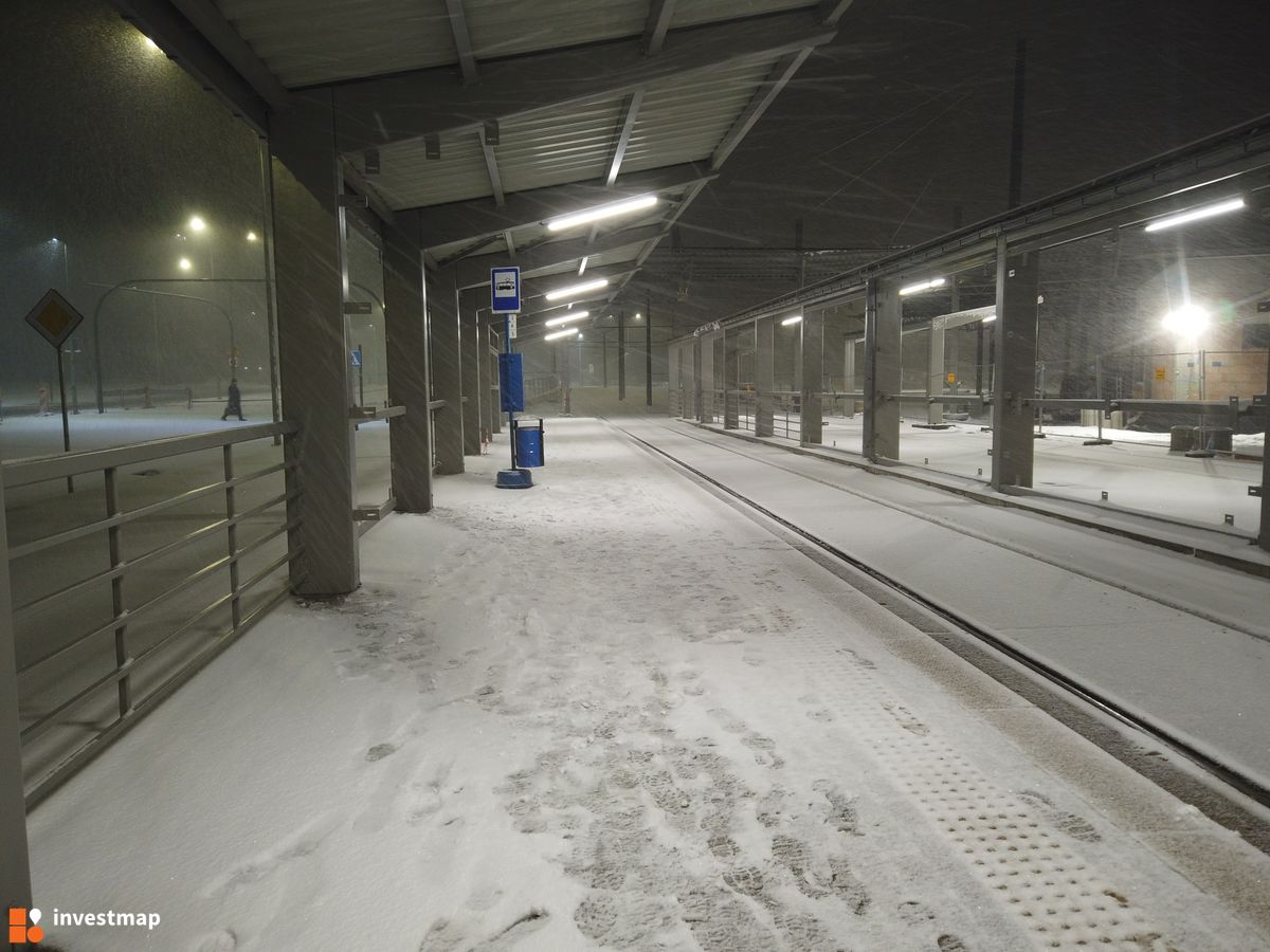 Zdjęcie Pętla Wzgórza Krzesławickie fot. Damian Daraż 