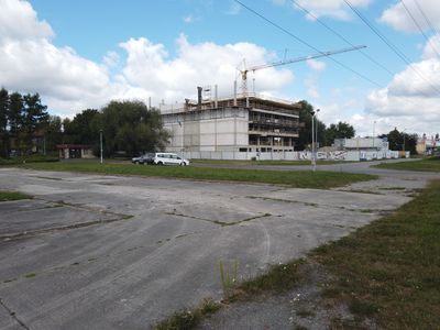 fot. Damian Daraż