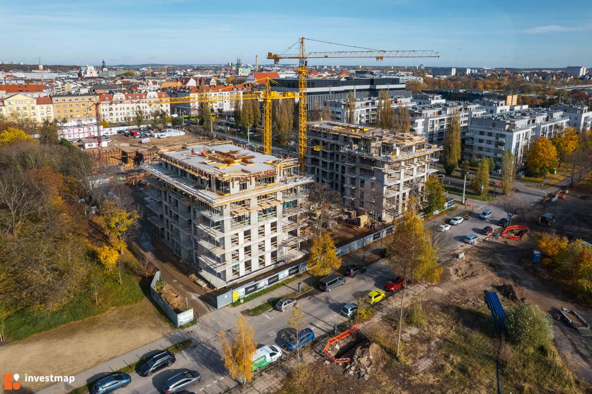 Zdjęcie Królowej Jadwigi 51 fot. Jakub Zazula 