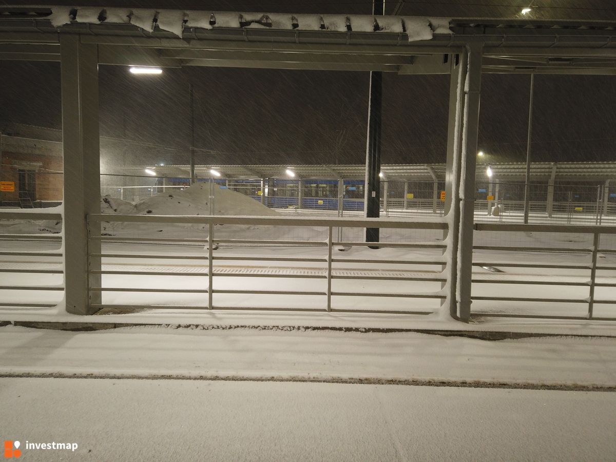 Zdjęcie Pętla Wzgórza Krzesławickie fot. Damian Daraż 