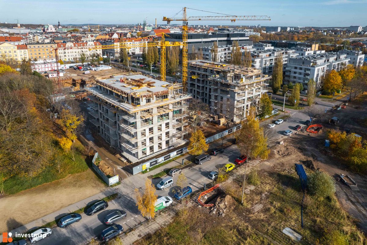 Zdjęcie Królowej Jadwigi 51 fot. Jakub Zazula 