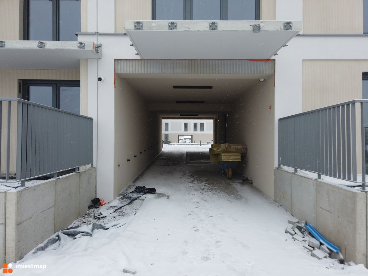 Zdjęcie Centralna Vita fot. Damian Daraż 