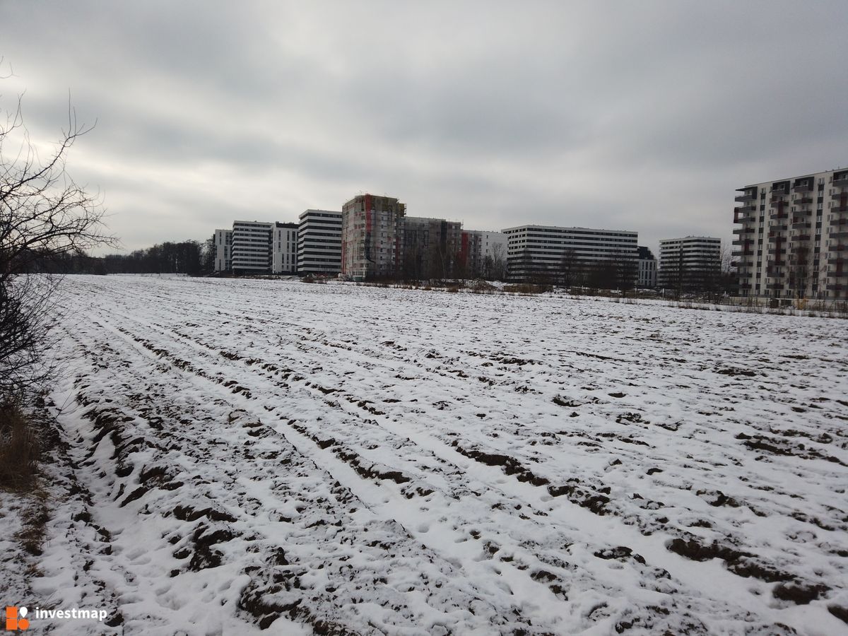 Zdjęcie Piasta Park fot. Damian Daraż 