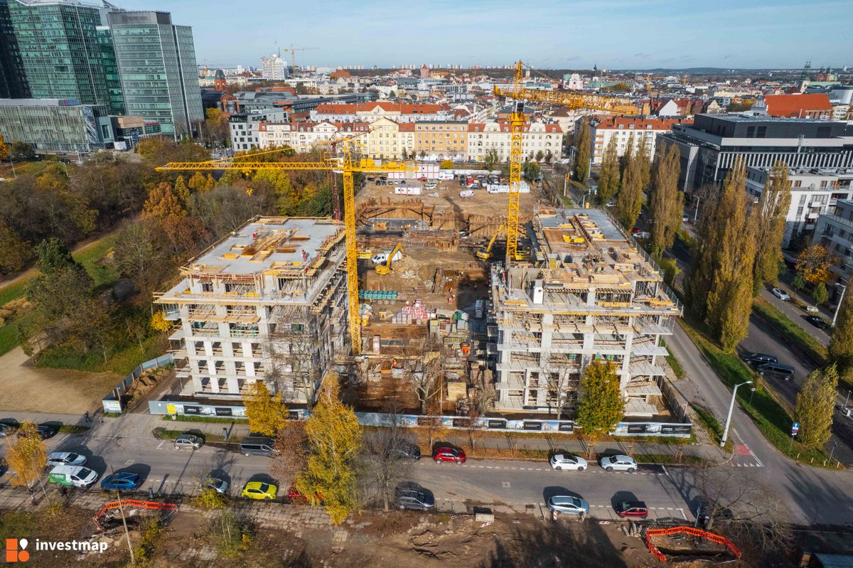 Zdjęcie Królowej Jadwigi 51 fot. Jakub Zazula 