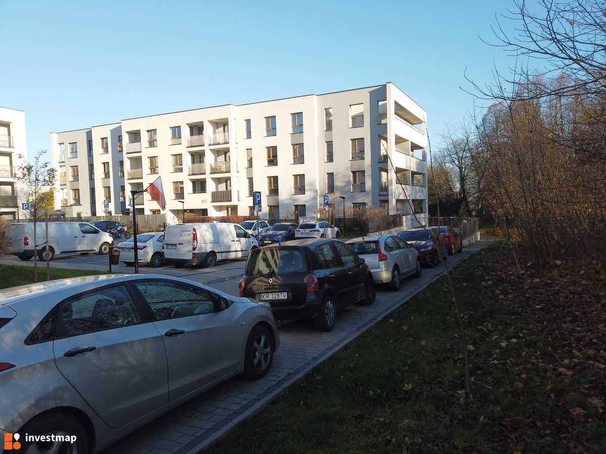 Zdjęcie Nowy Horyzont fot. Damian Daraż 