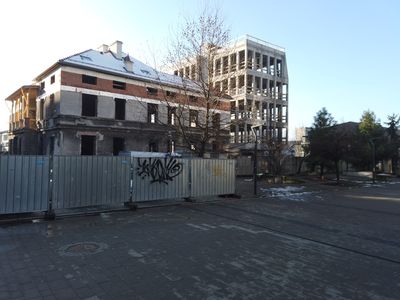 fot. Damian Daraż