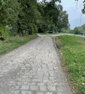 fot. Orzech