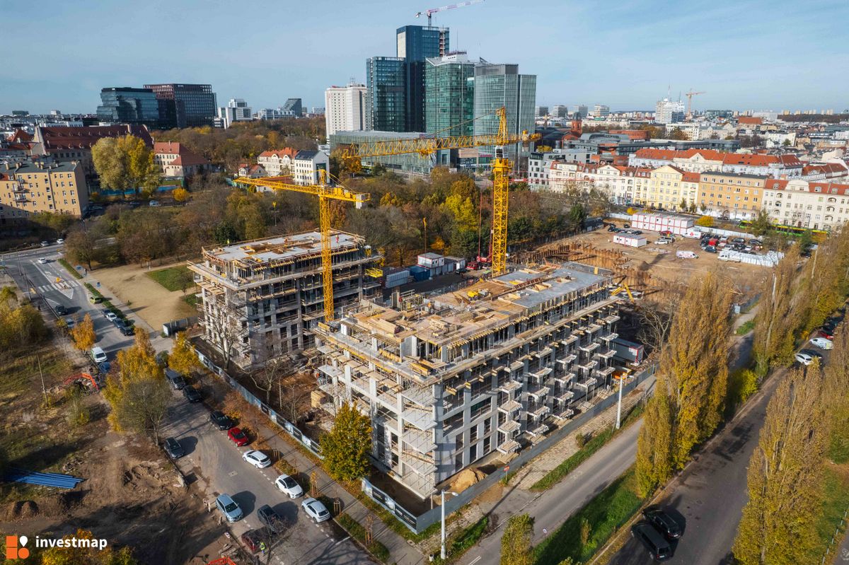 Zdjęcie Królowej Jadwigi 51 fot. Jakub Zazula 