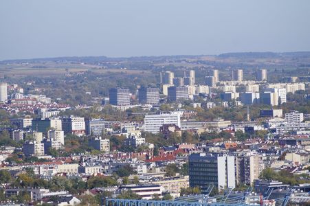 fot. Damian Daraż