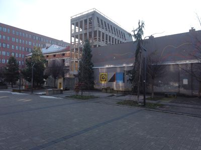 fot. Damian Daraż