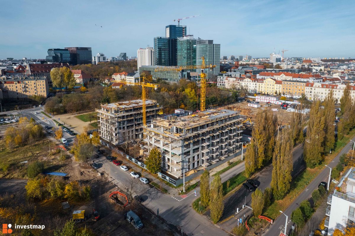 Zdjęcie Królowej Jadwigi 51 fot. Jakub Zazula 