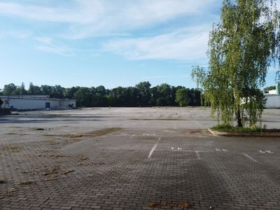 fot. Damian Daraż