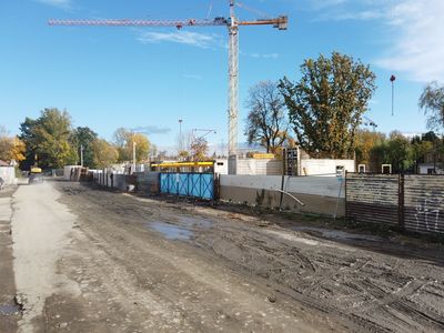 fot. Damian Daraż