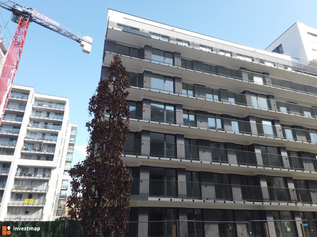 Zdjęcie Osiedle 29. Aleja fot. Damian Daraż 