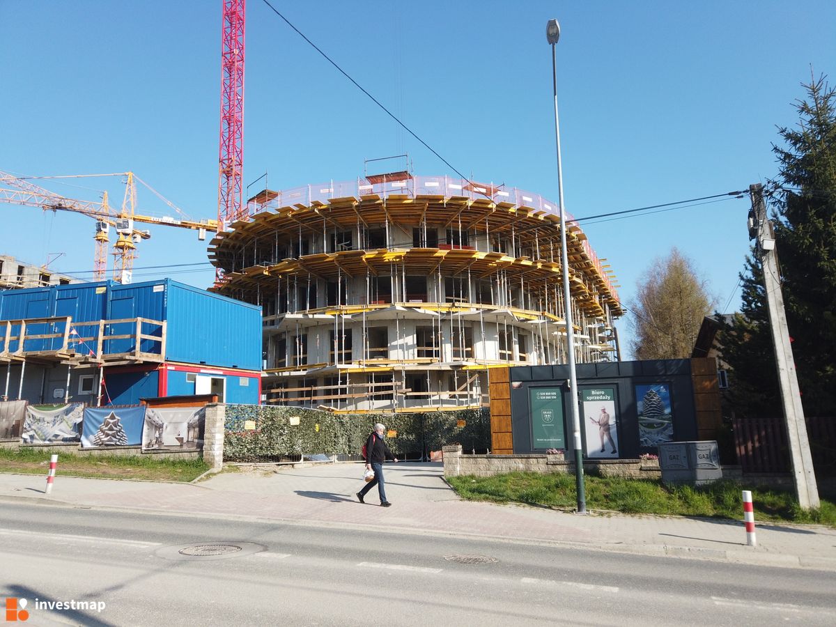 Zdjęcie Drago fot. Damian Daraż 