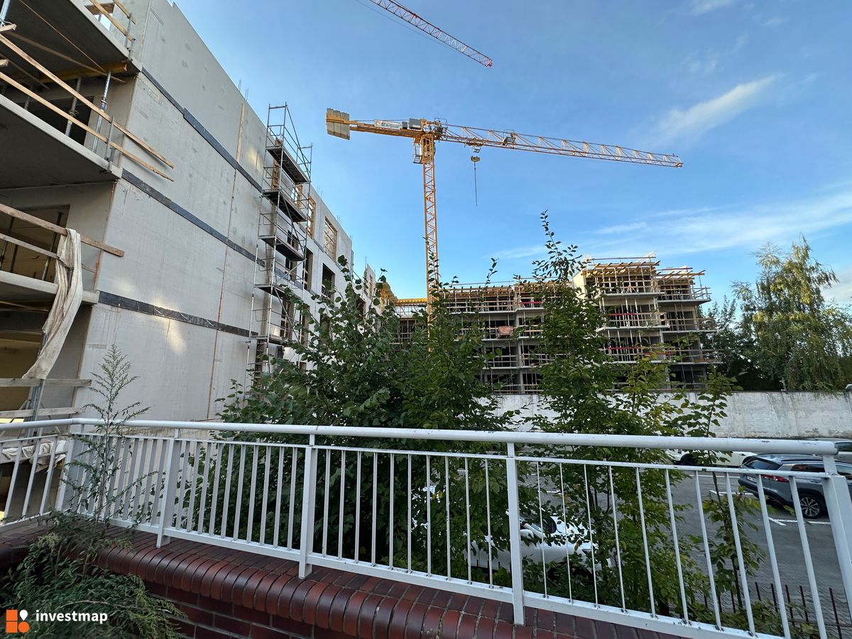 Zdjęcie Stalova fot. eszha95 