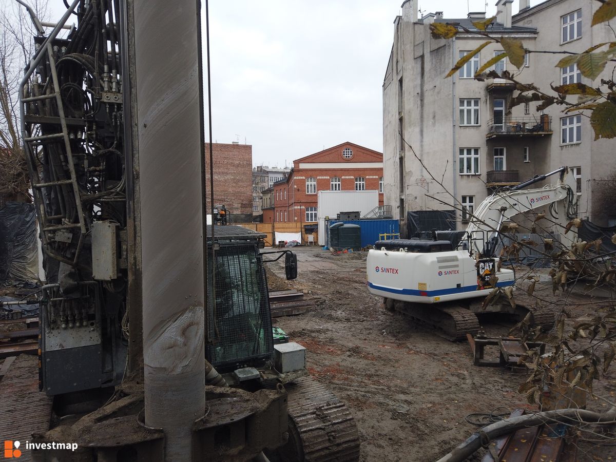 Zdjęcie Dajwór fot. Damian Daraż 