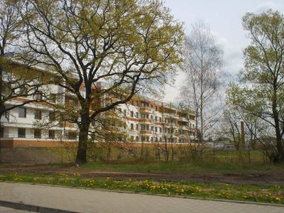 fot. Orzech