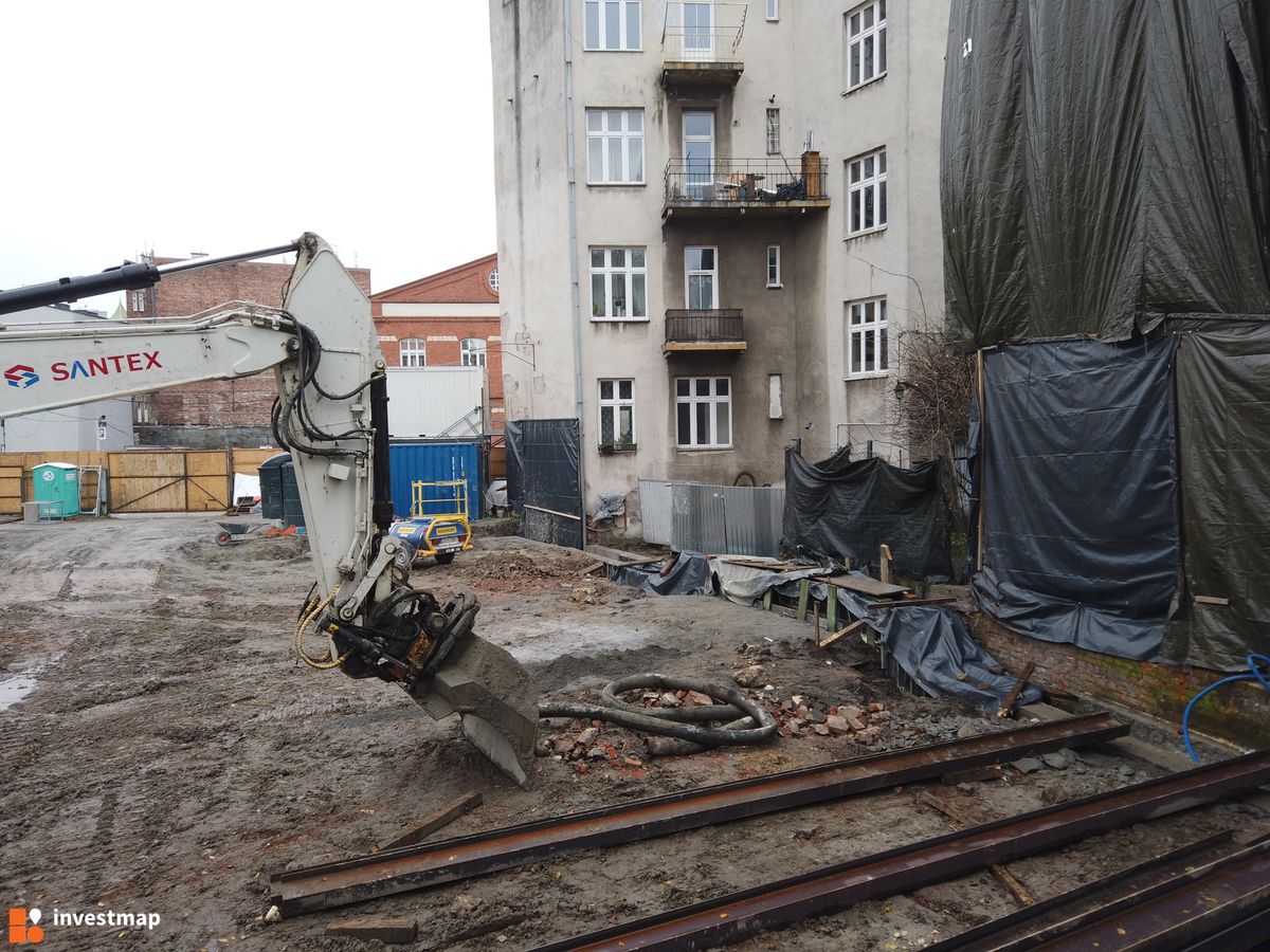 Zdjęcie Dajwór fot. Damian Daraż 