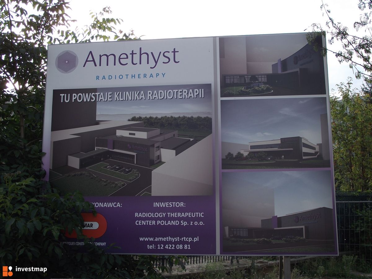 Zdjęcie Amethyst fot. Damian Daraż 