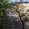 Remont Kamienicy, ul. Zyblikiewicza 14