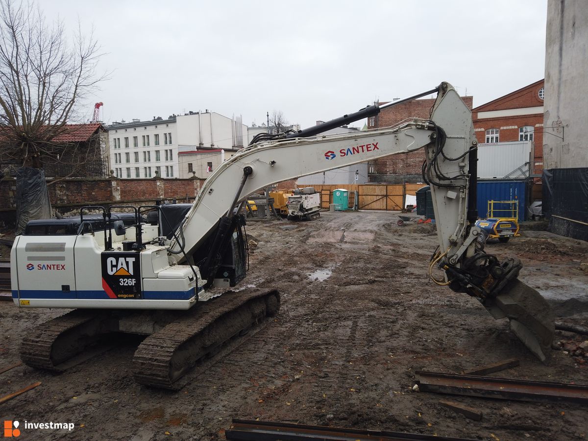 Zdjęcie Dajwór fot. Damian Daraż 