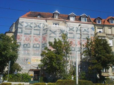 fot. Orzech