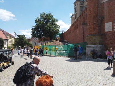 fot. Damian Daraż