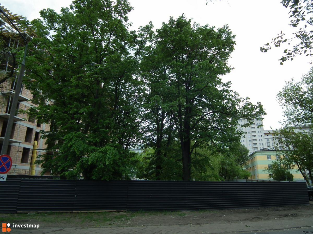 Zdjęcie Apartamentowiec Pomarańczarnia fot. Pajakus 