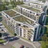 Zielona Przystań