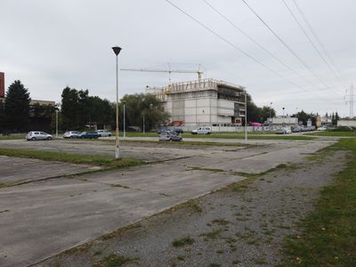 fot. Damian Daraż