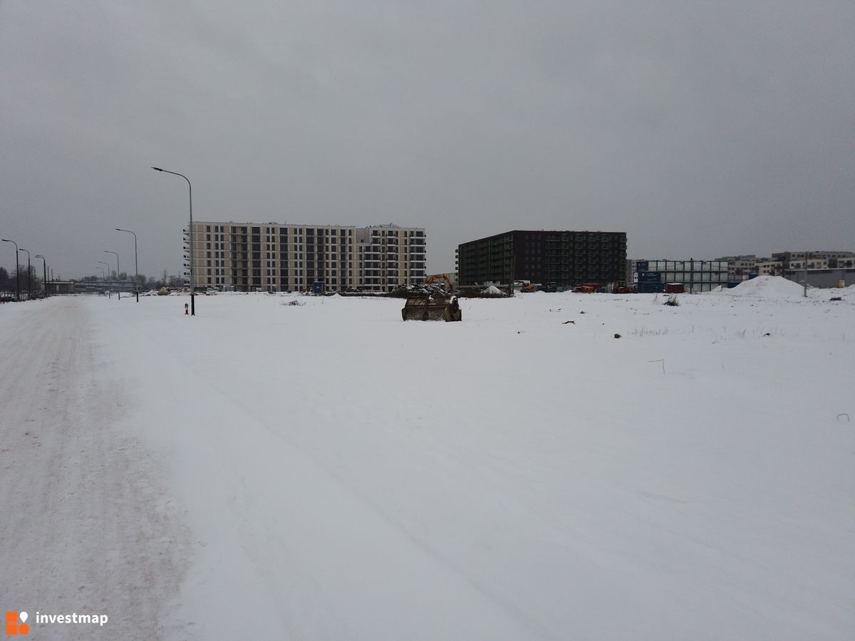 Zdjęcie Centralna Vita fot. Damian Daraż 