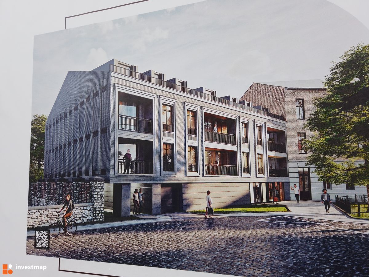 Zdjęcie Dajwór fot. Damian Daraż 