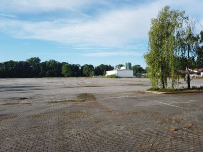 fot. Damian Daraż