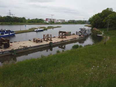 fot. Damian Daraż